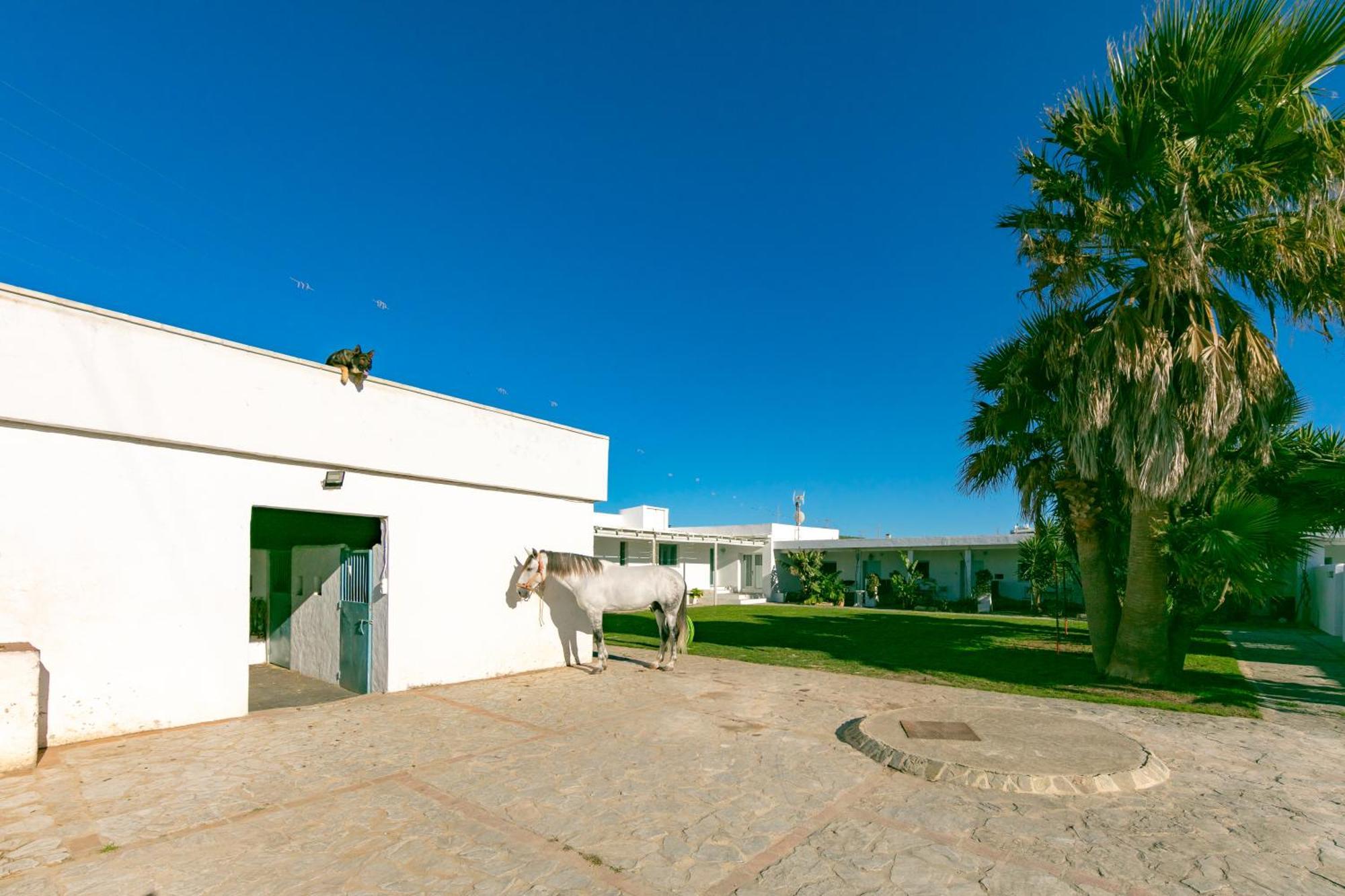 Casa Rural Con Terraza Privada III Apartment Tarifa Exterior photo